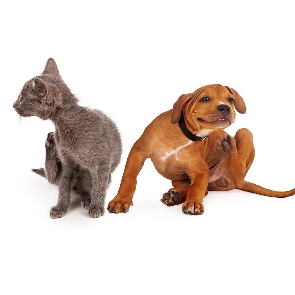 BioPet Fleas & Ticks