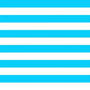 Blue Stripe STRETCH WOVEN
