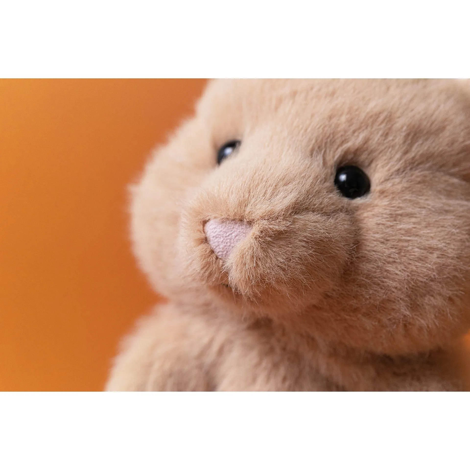 Hank Hamster