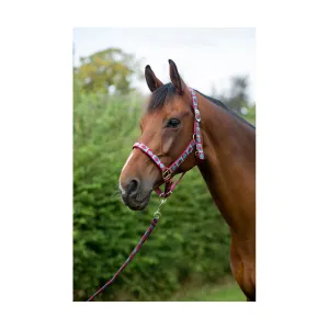 Hy Equestrian Woven Polo Head Collar And Lead Rope