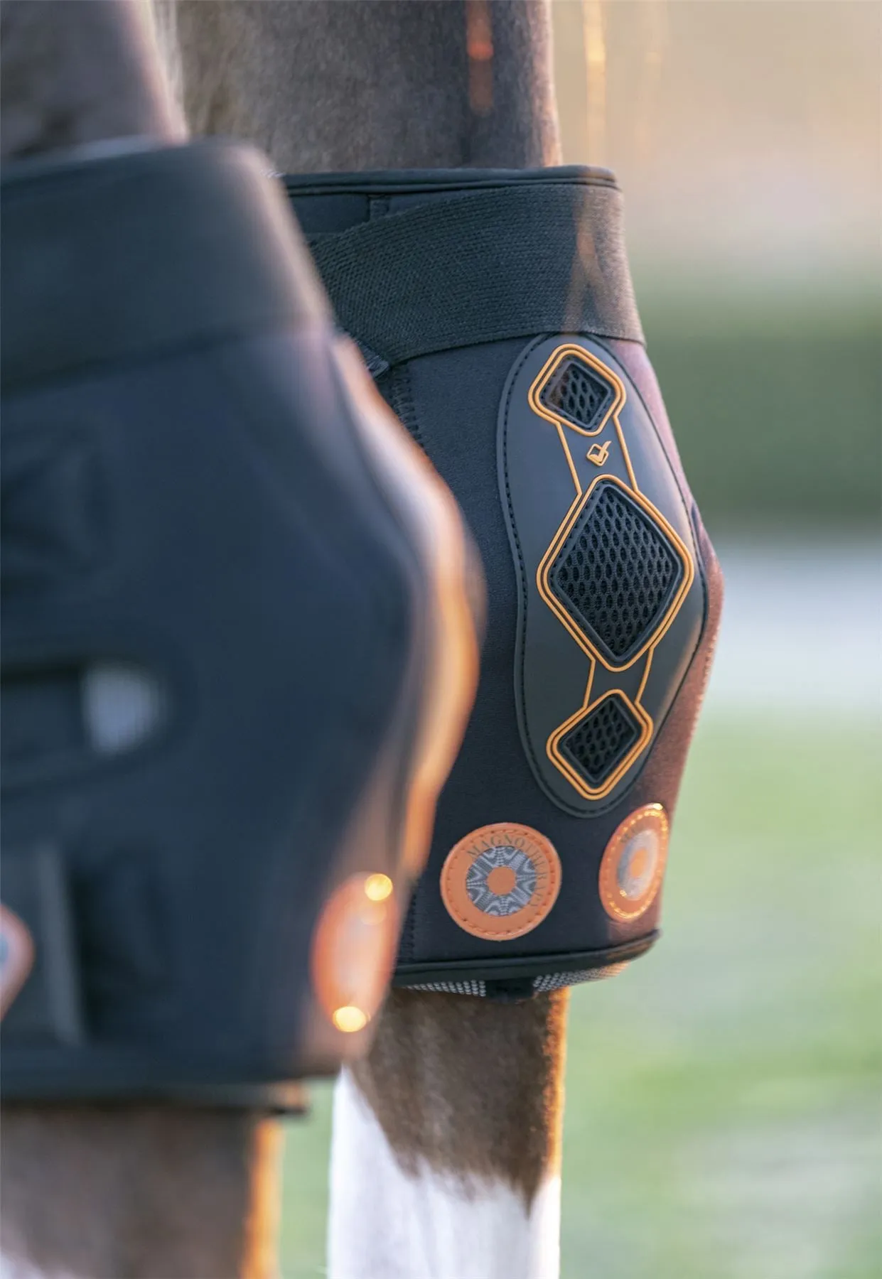LeMieux Conductive Magno Hock Boots