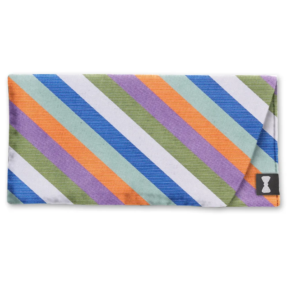 Orchard Run - Eyeglass Cases