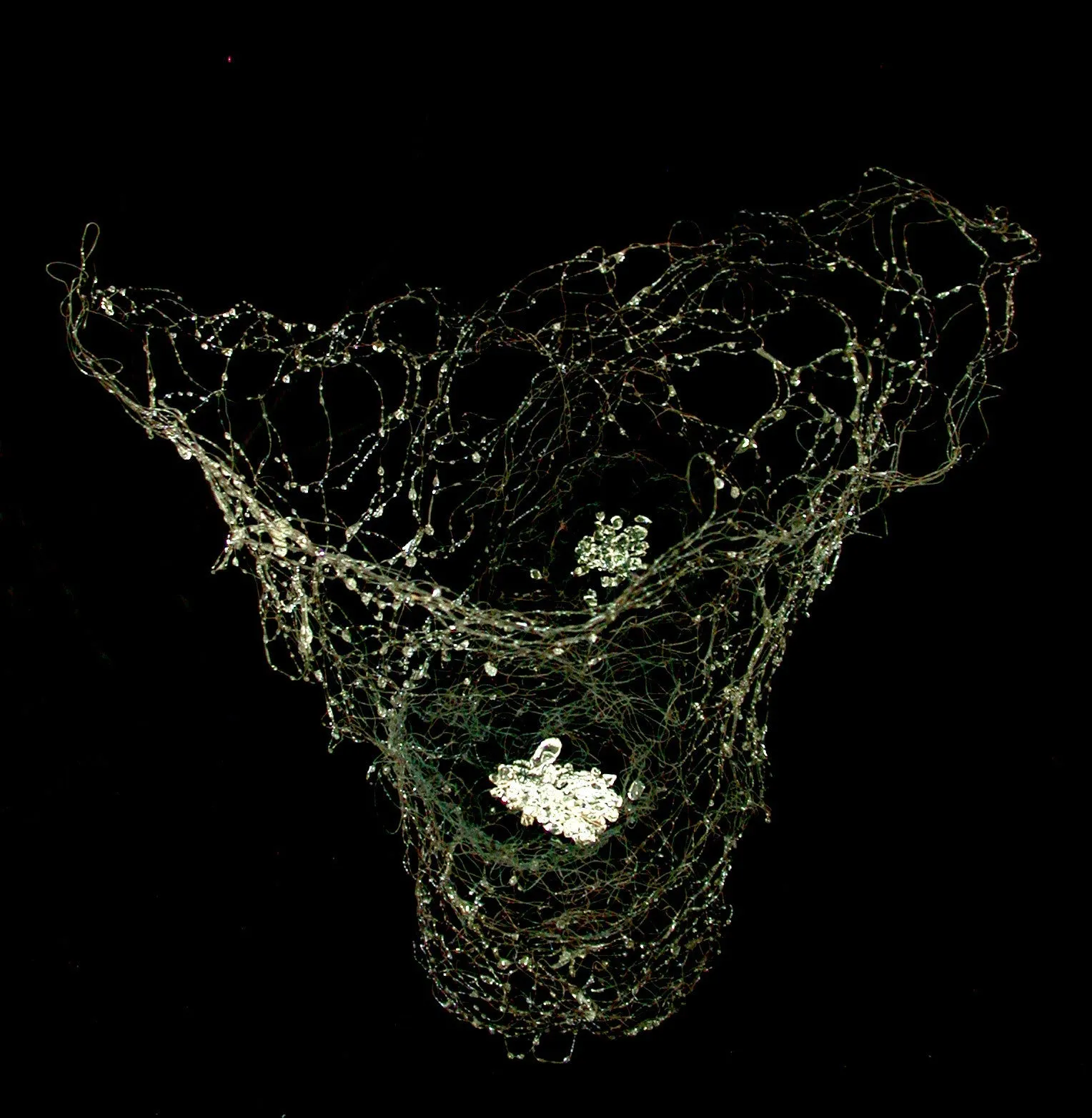 Spider Vessel with Glass