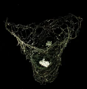 Spider Vessel with Glass