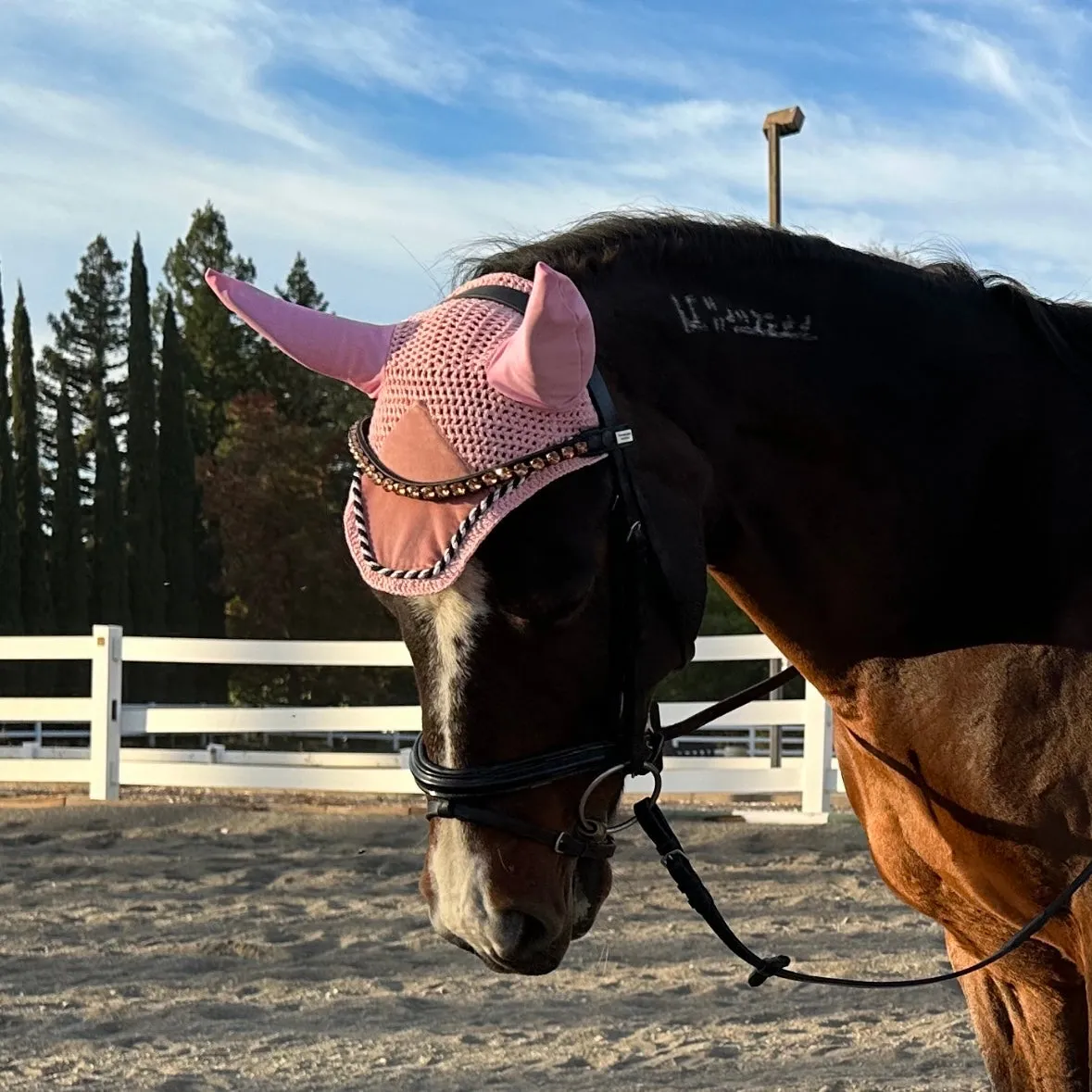 Suede Fly Ear Bonnet Vieux Rose