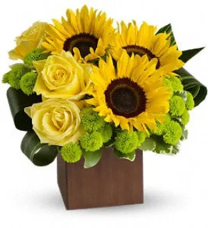 Sunflower Fantasy