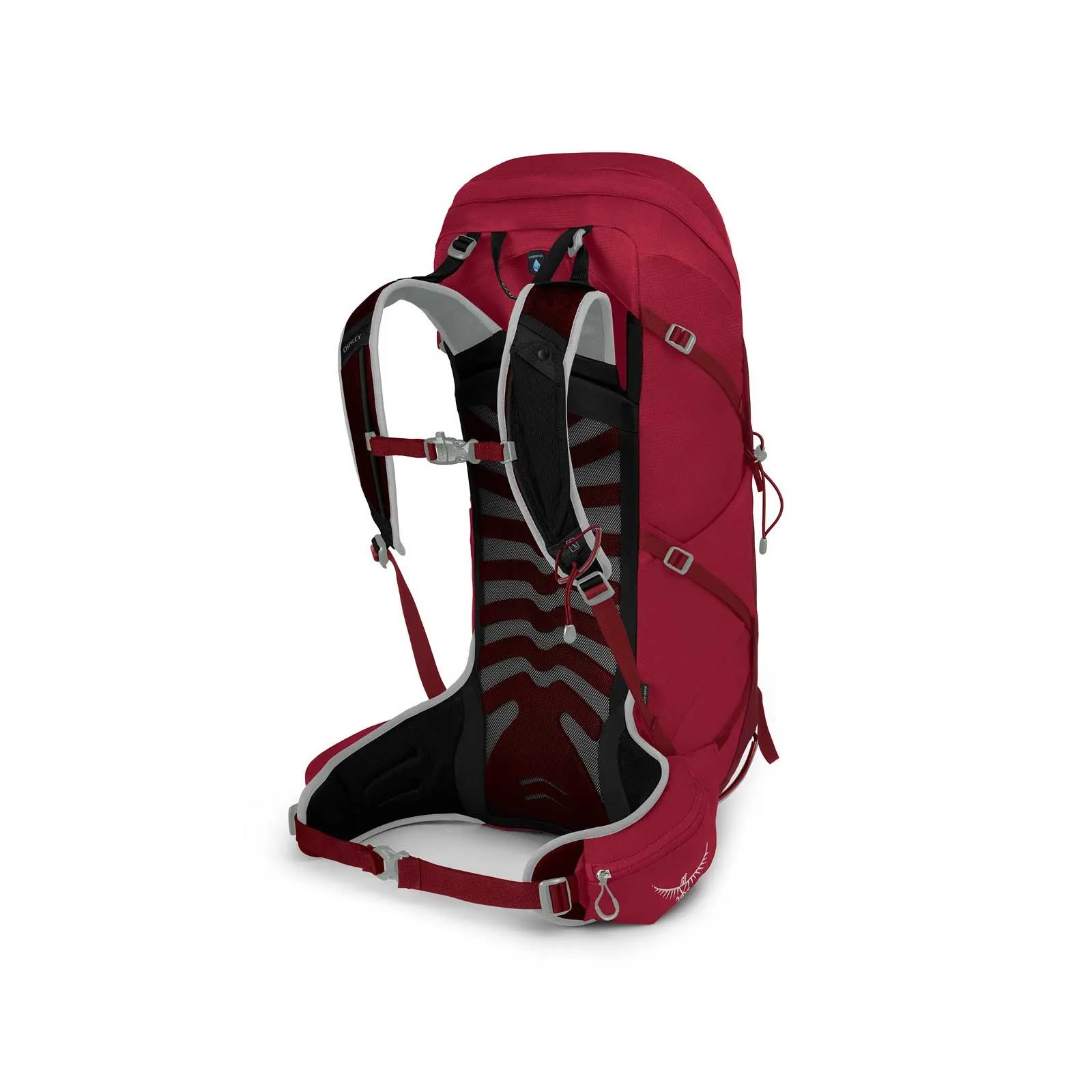 Talon 33 Daypack