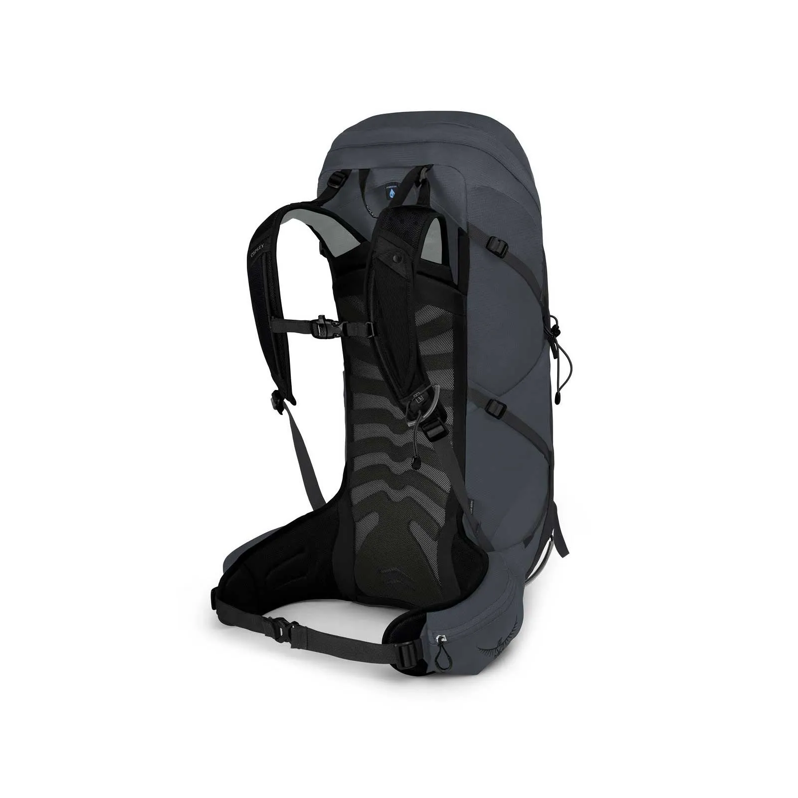 Talon 33 Daypack