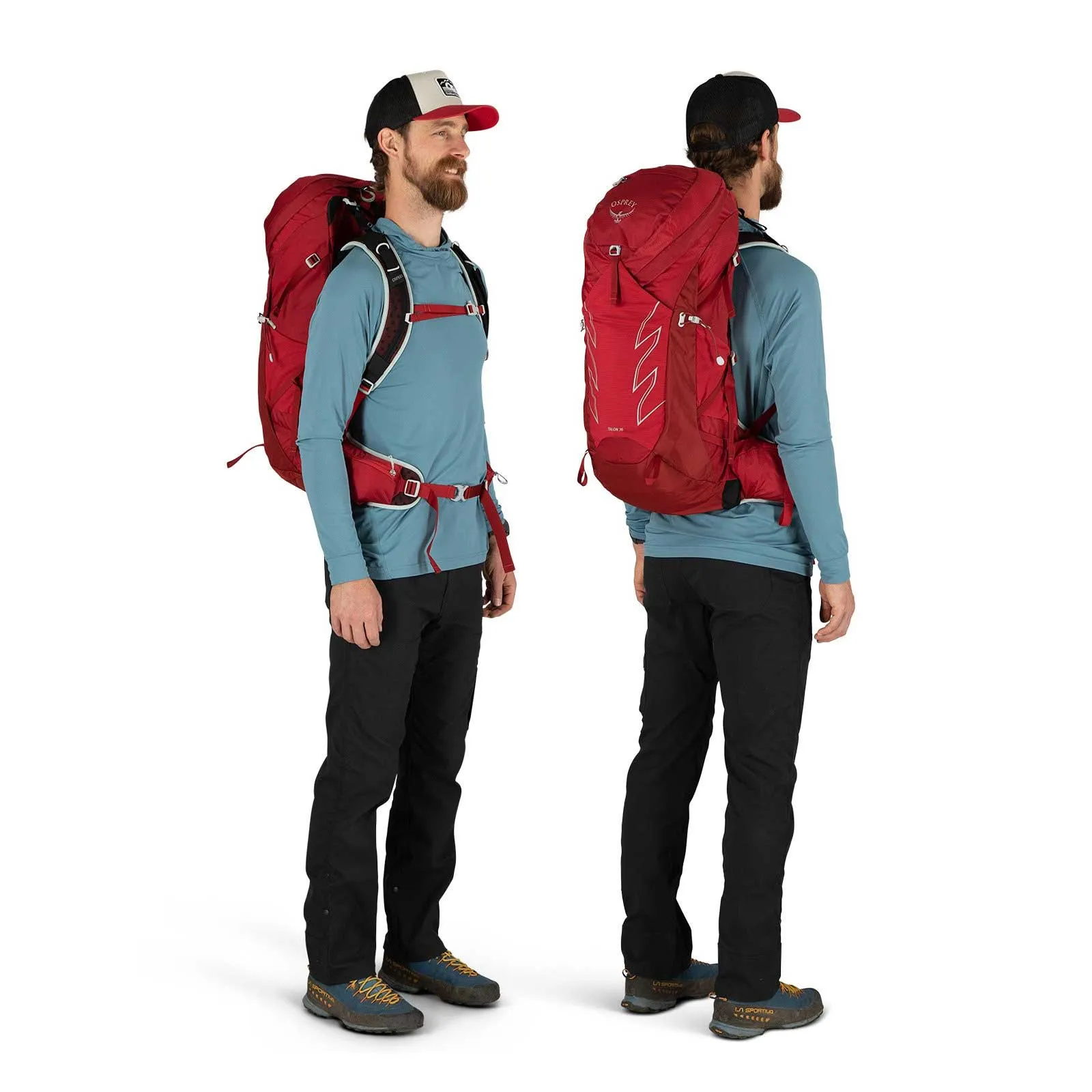 Talon 33 Daypack