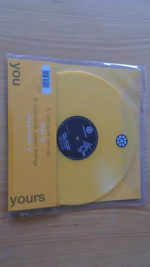 Tim Burgess (Remixed By Anton Newcombe) 'The Doors Of Then - I Am Yours I Am You'