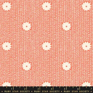 Winterglow, Cozy Stars Papaya