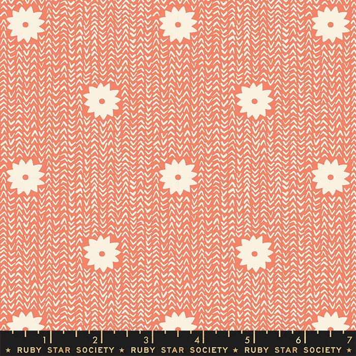 Winterglow, Cozy Stars Papaya